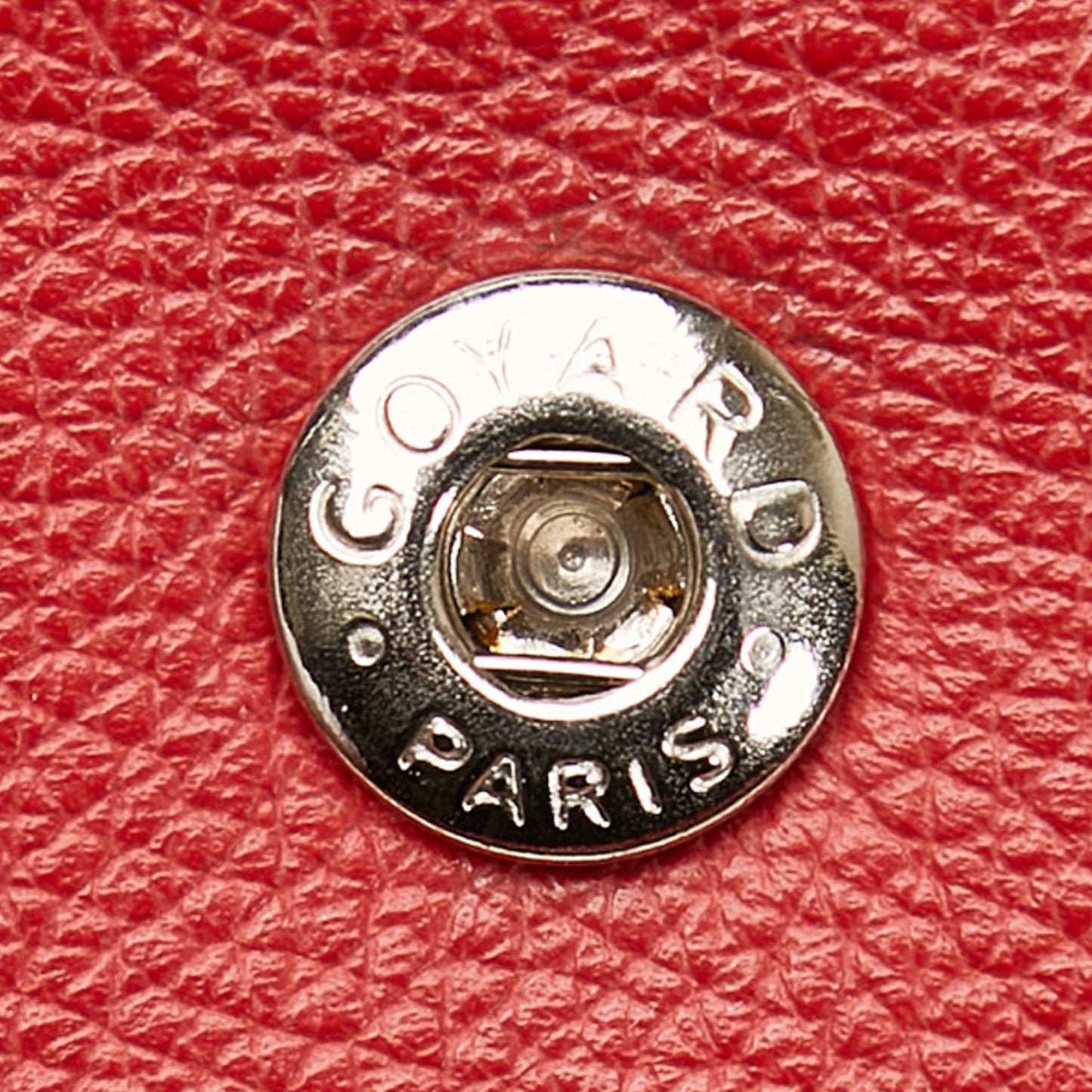 Goyardine Saint Louis GM