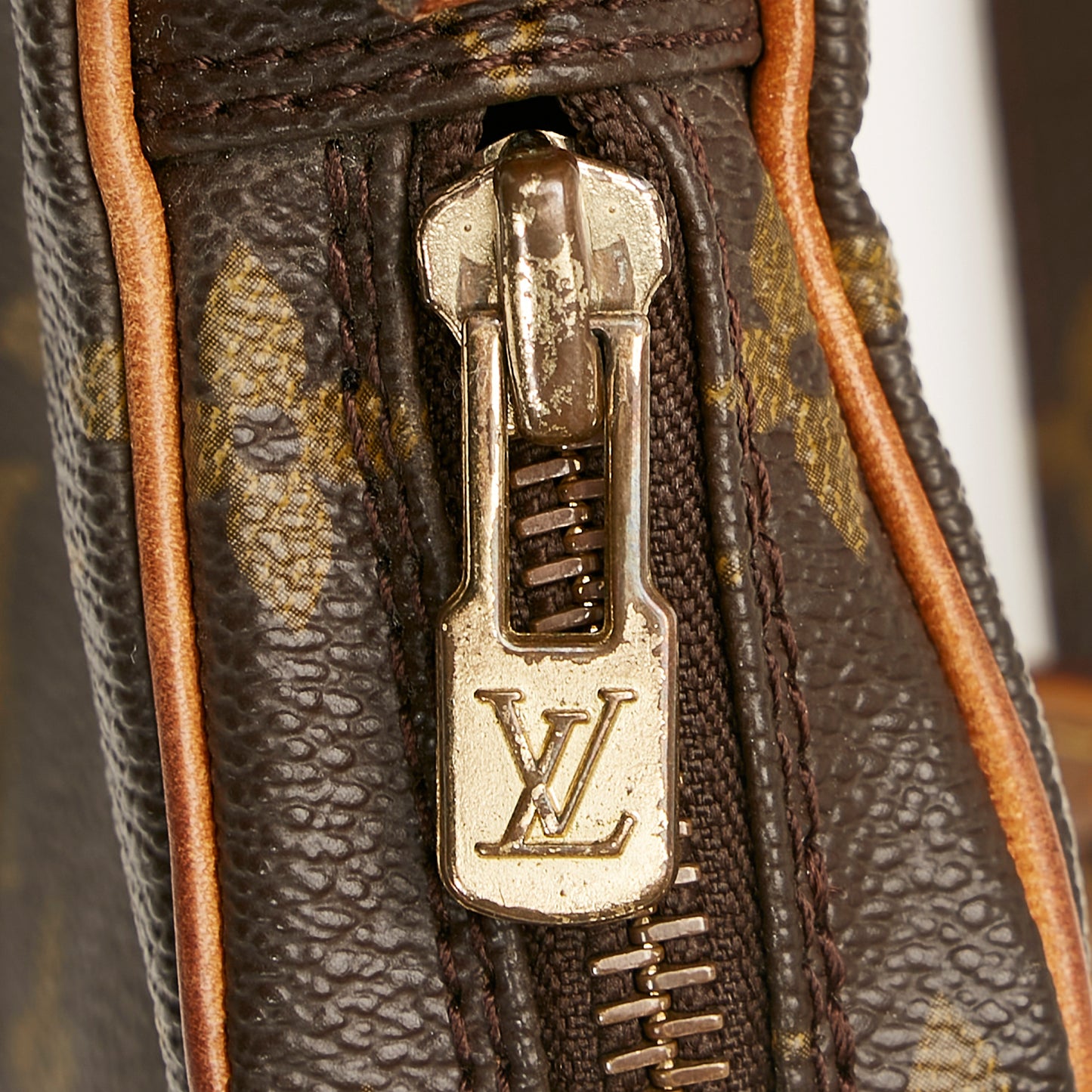 Monogram Mini Danube