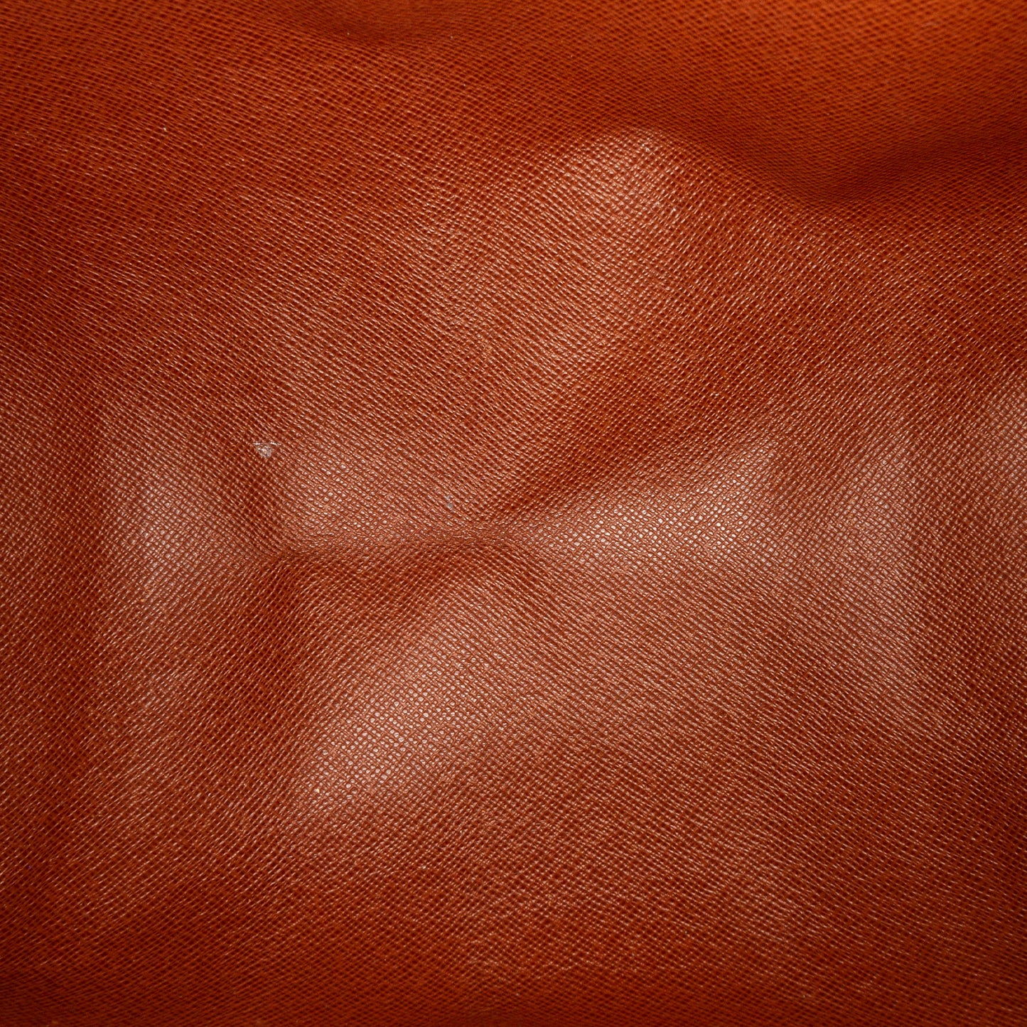 Monogram Papillon 30