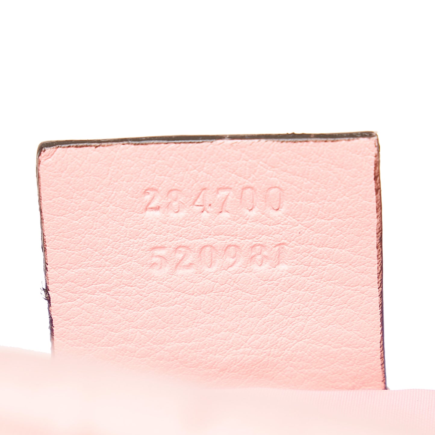 GG Nylon Vanity Bag
