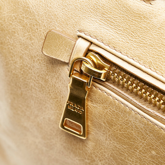 Vitello Shine Satchel