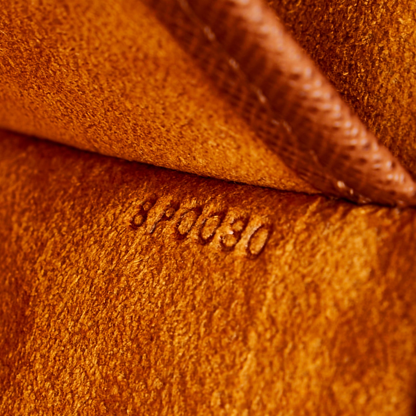 Monogram Musette Tango Long Strap