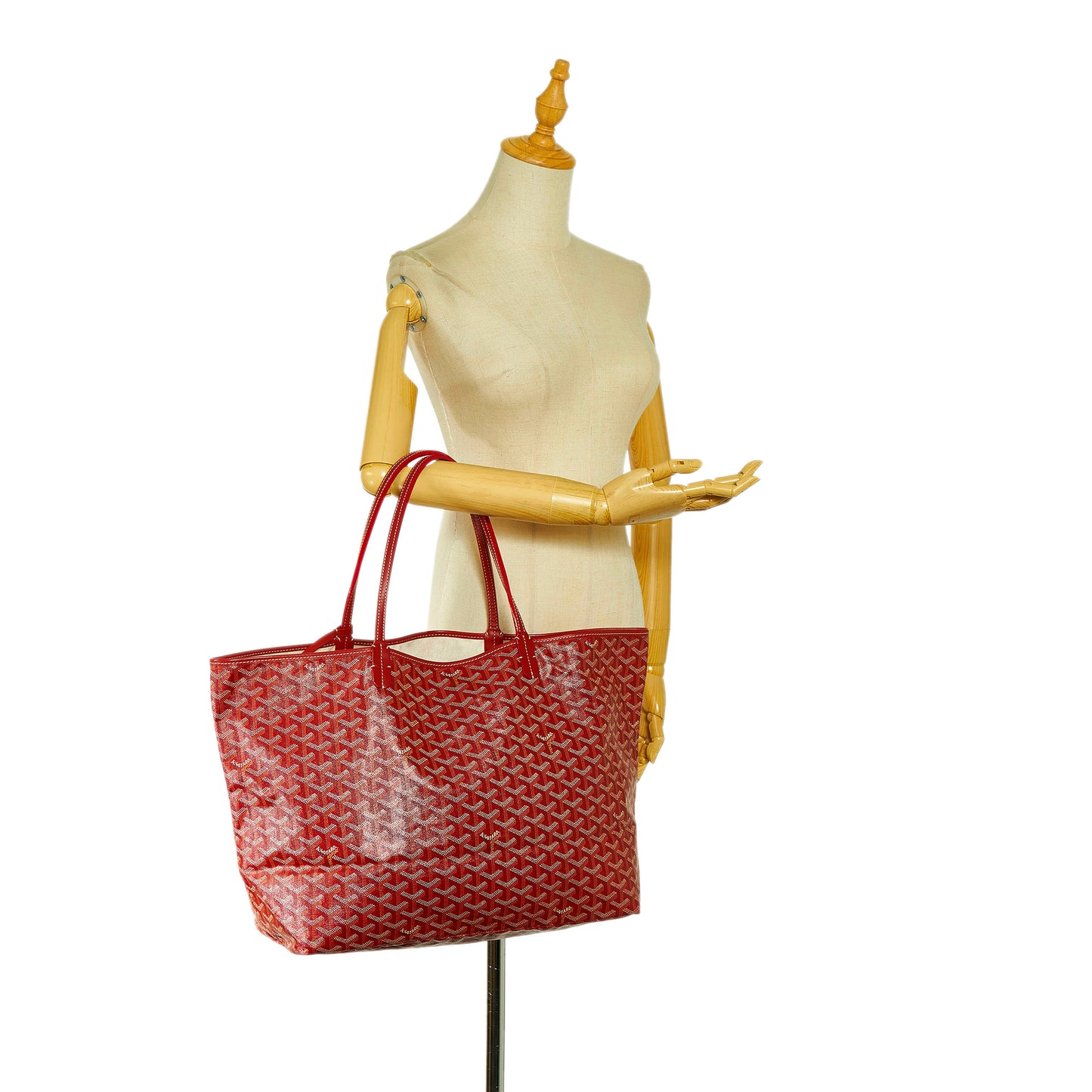Goyardine Saint Louis GM