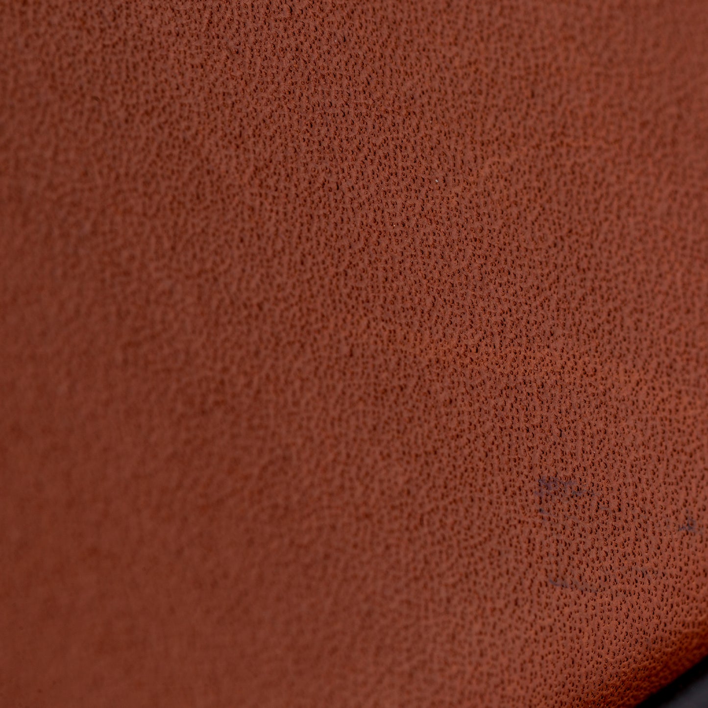 Triomphe Shoulder Bag