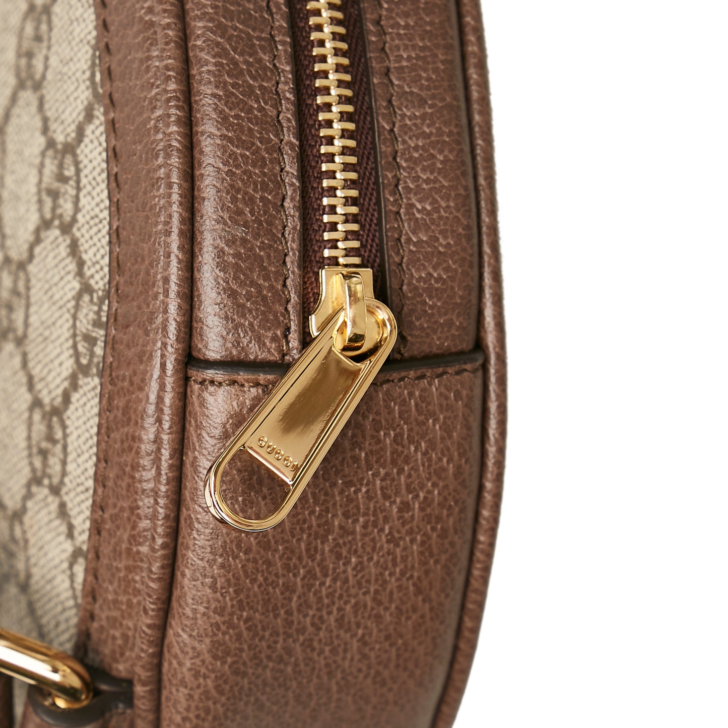 GG Supreme Ophidia Backpack
