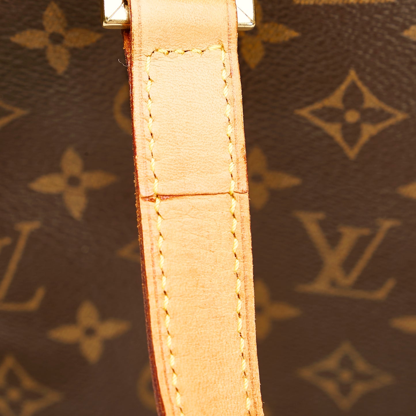 Monogram Cabas Mezzo