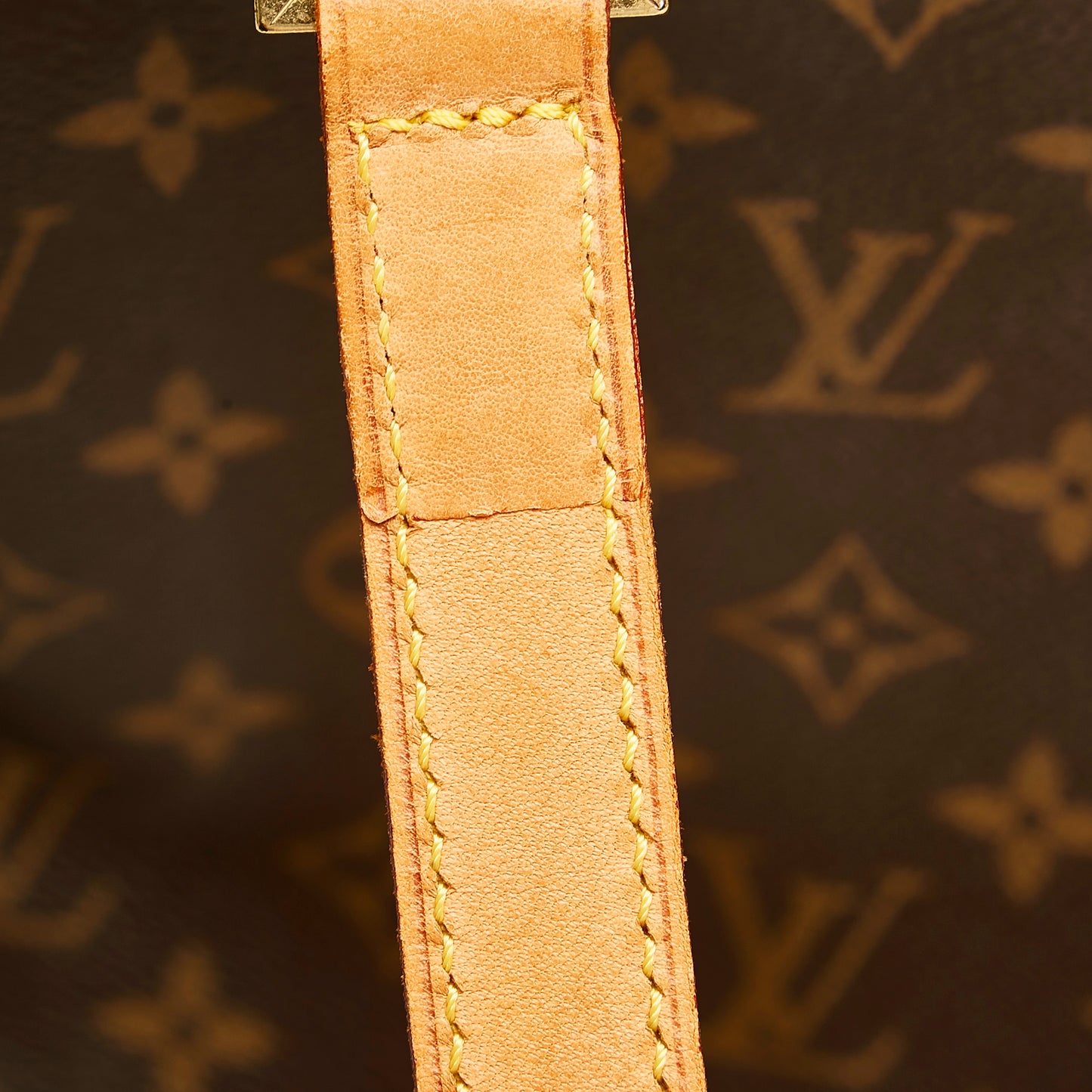 Monogram Cabas Mezzo