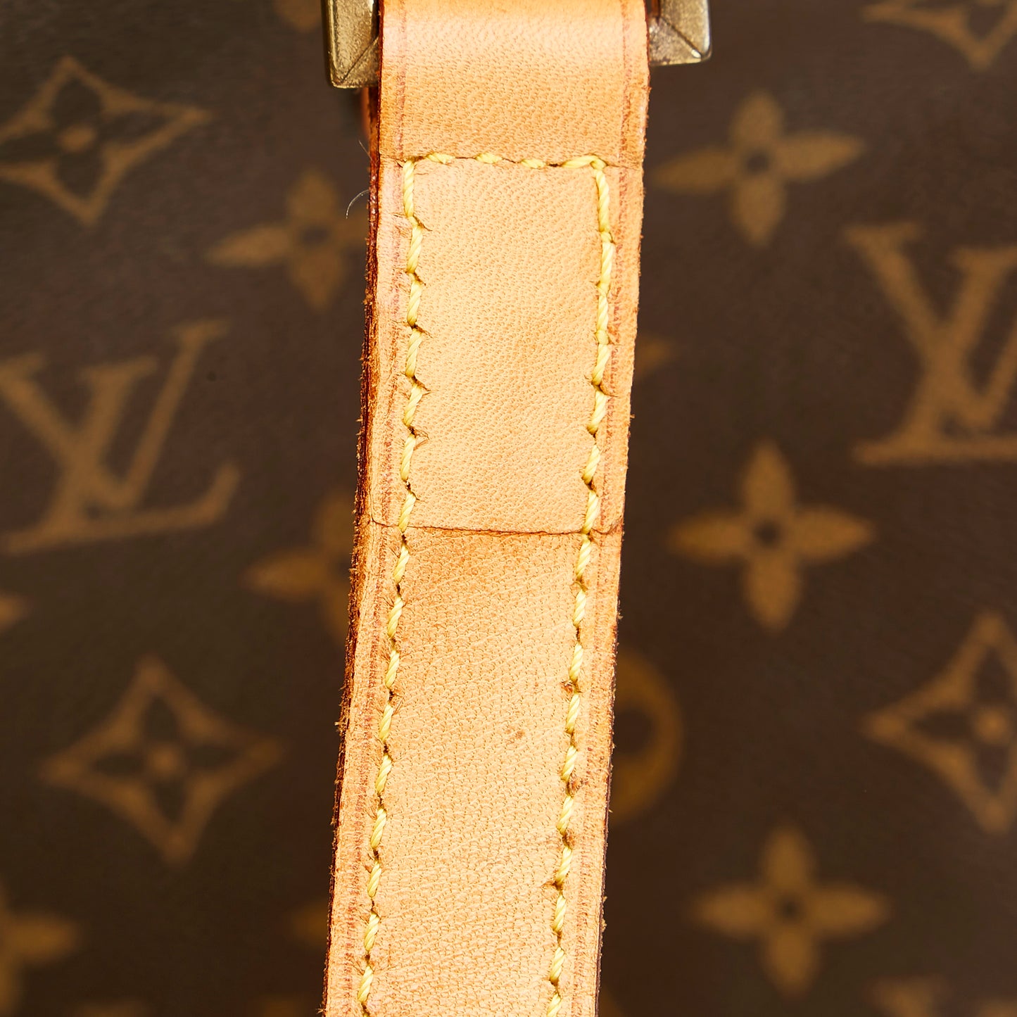 Monogram Cabas Mezzo