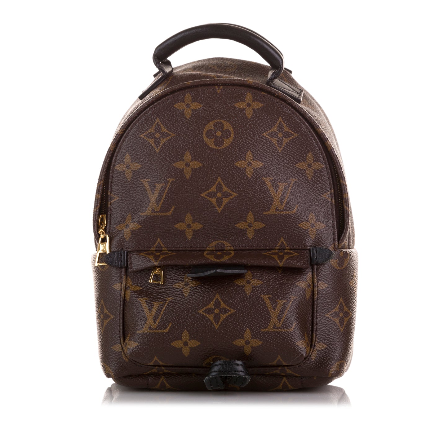 Monogram Palm Springs Mini