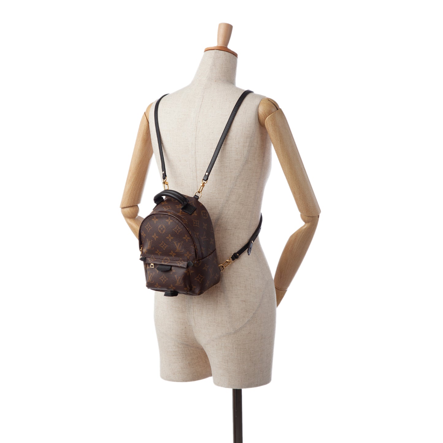 Monogram Palm Springs Mini
