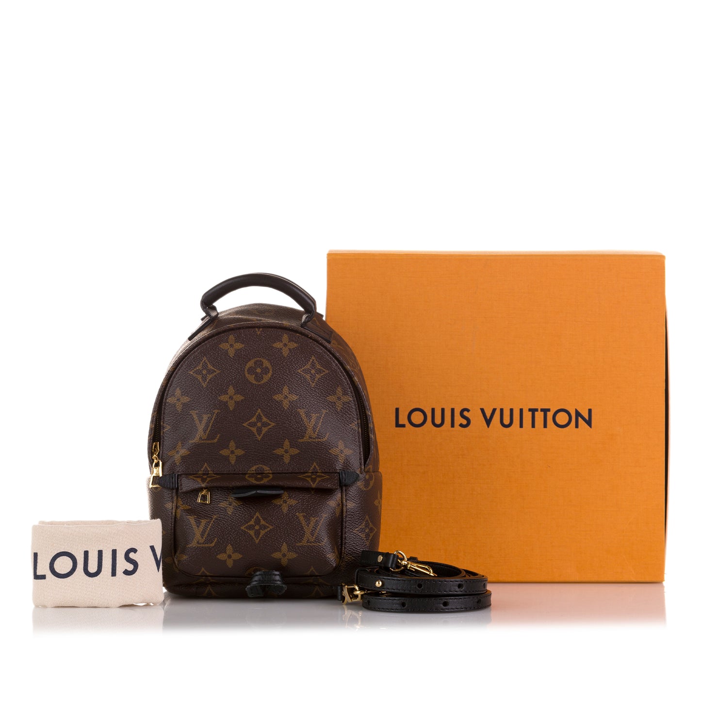 Monogram Palm Springs Mini