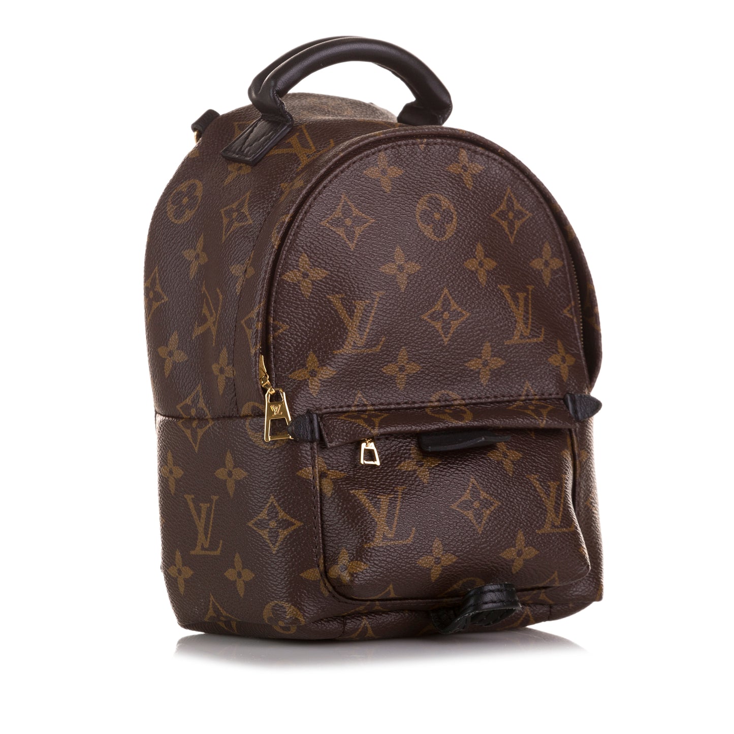 Monogram Palm Springs Mini