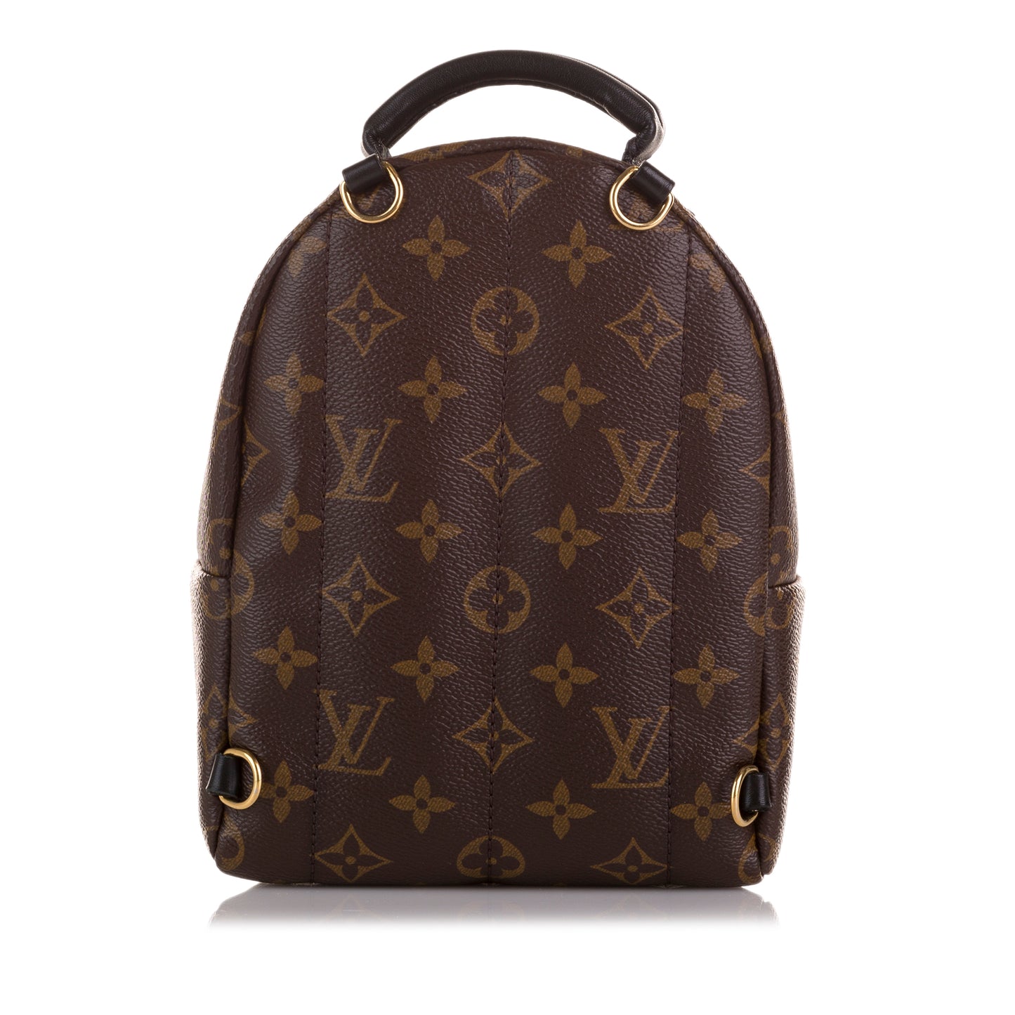 Monogram Palm Springs Mini