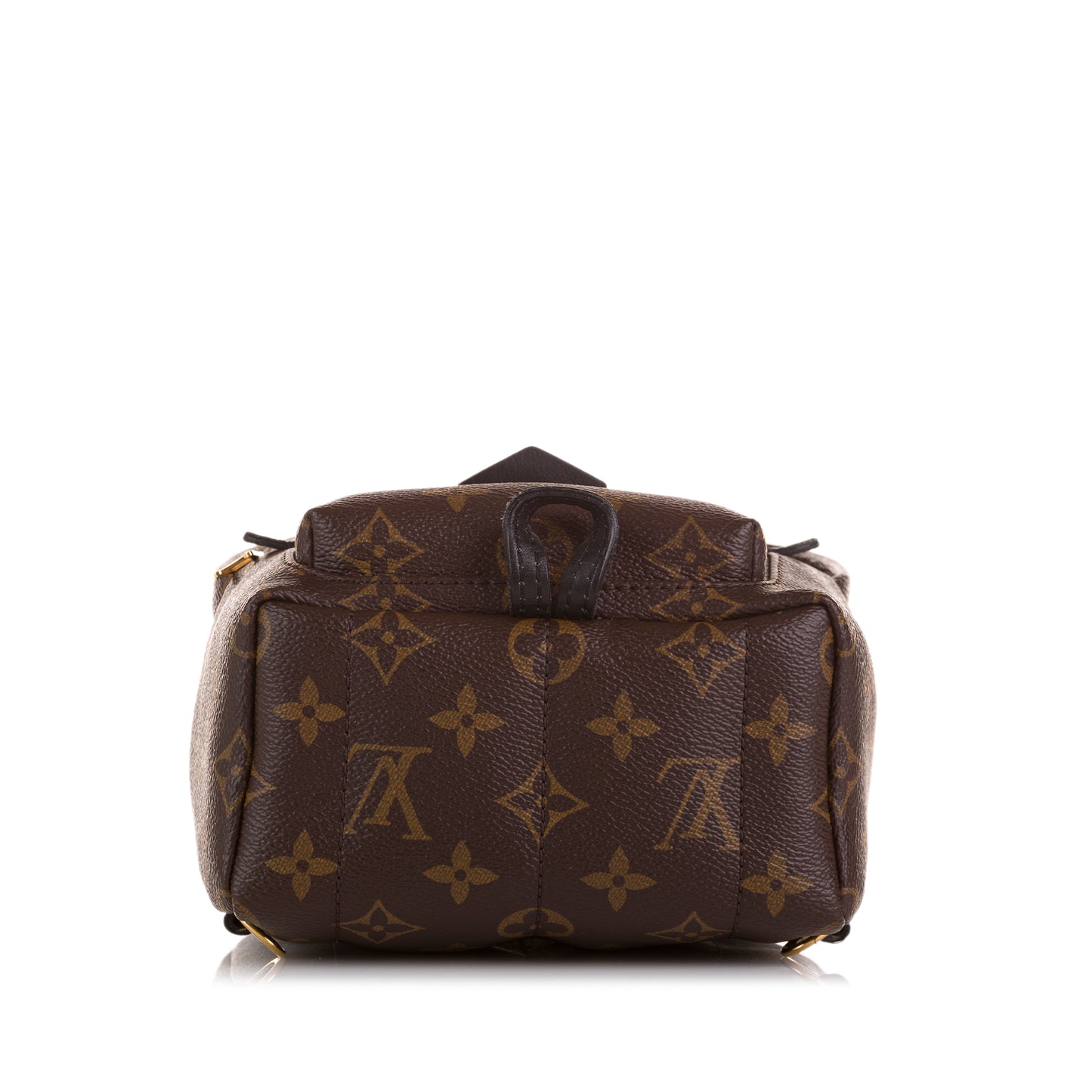 Monogram Palm Springs Mini
