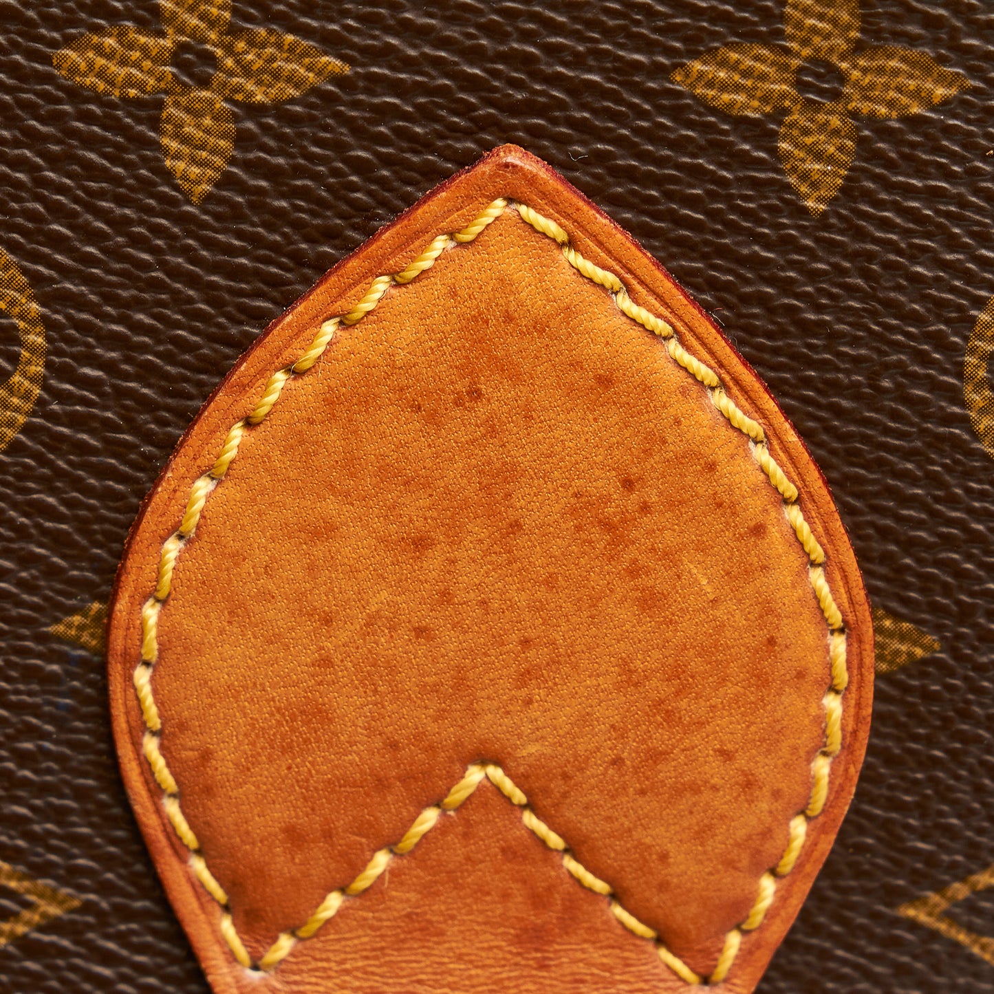 Monogram Cartouchiere GM