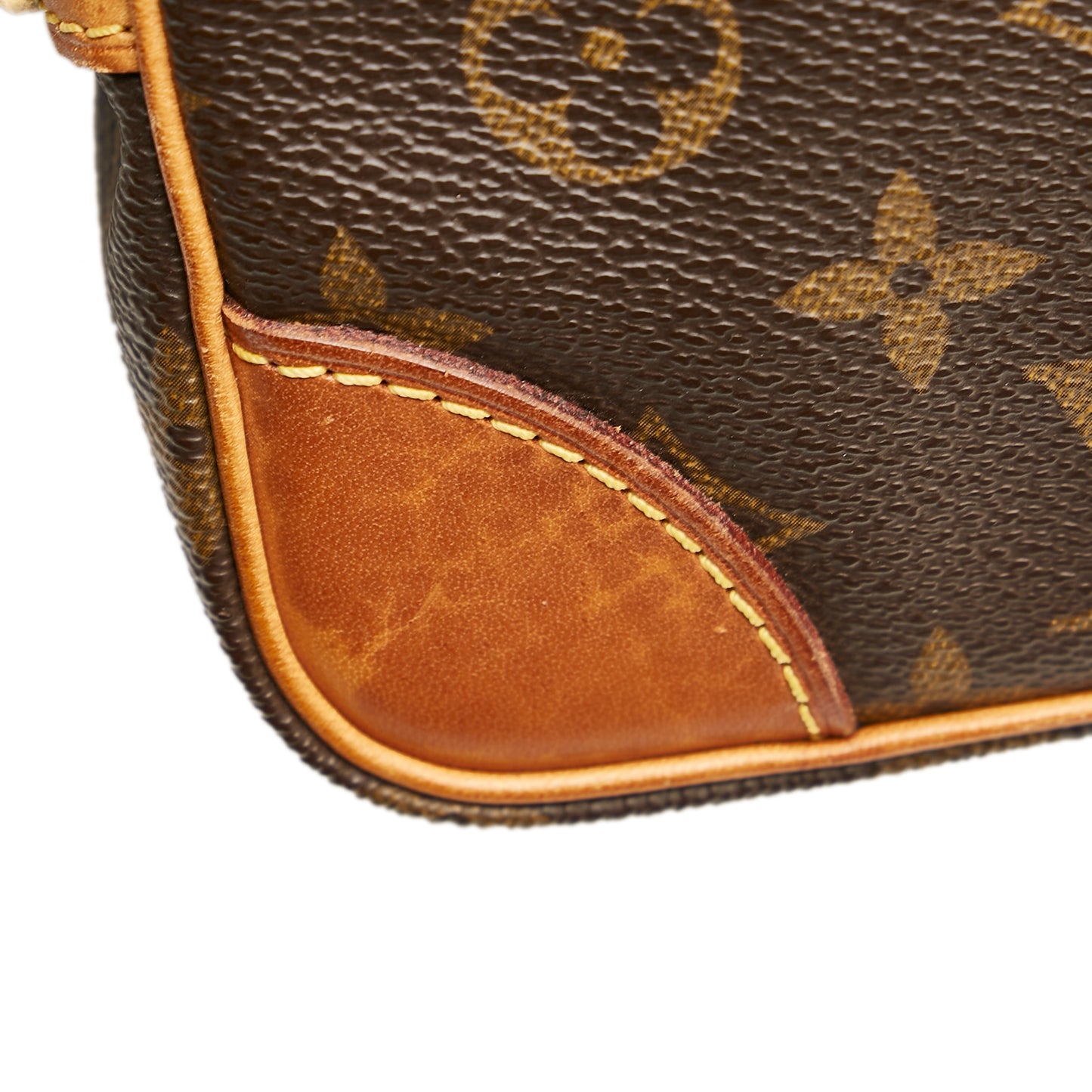 Monogram Marly Dragonne PM