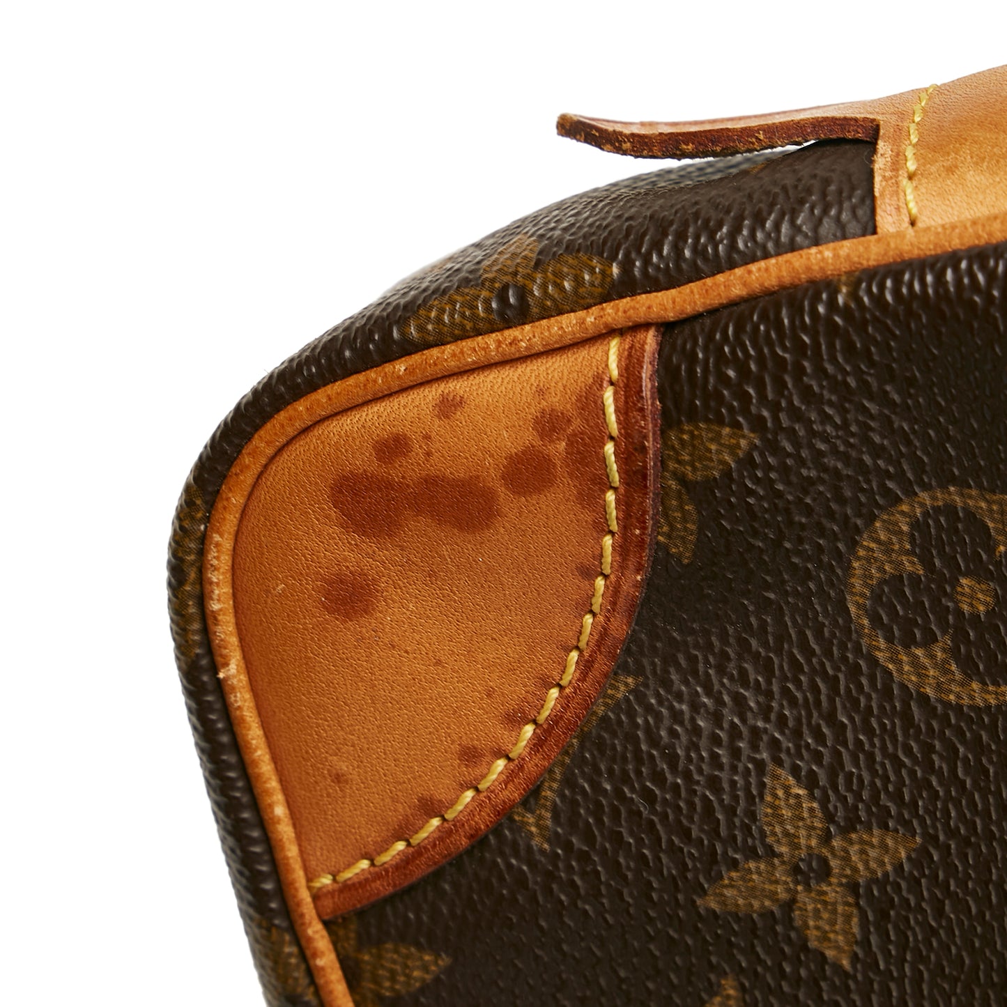 Monogram Marly Dragonne PM