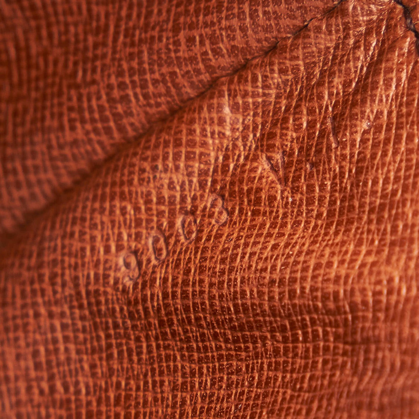 Monogram Saint Cloud MM