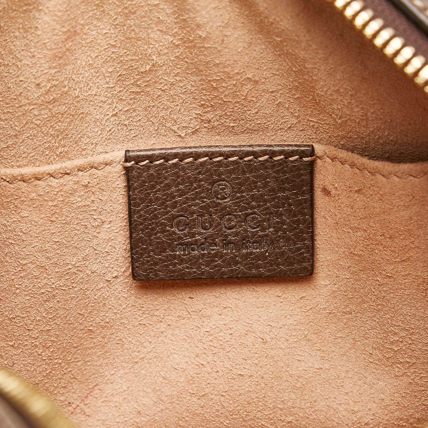 GG Supreme Ophidia Belt Bag