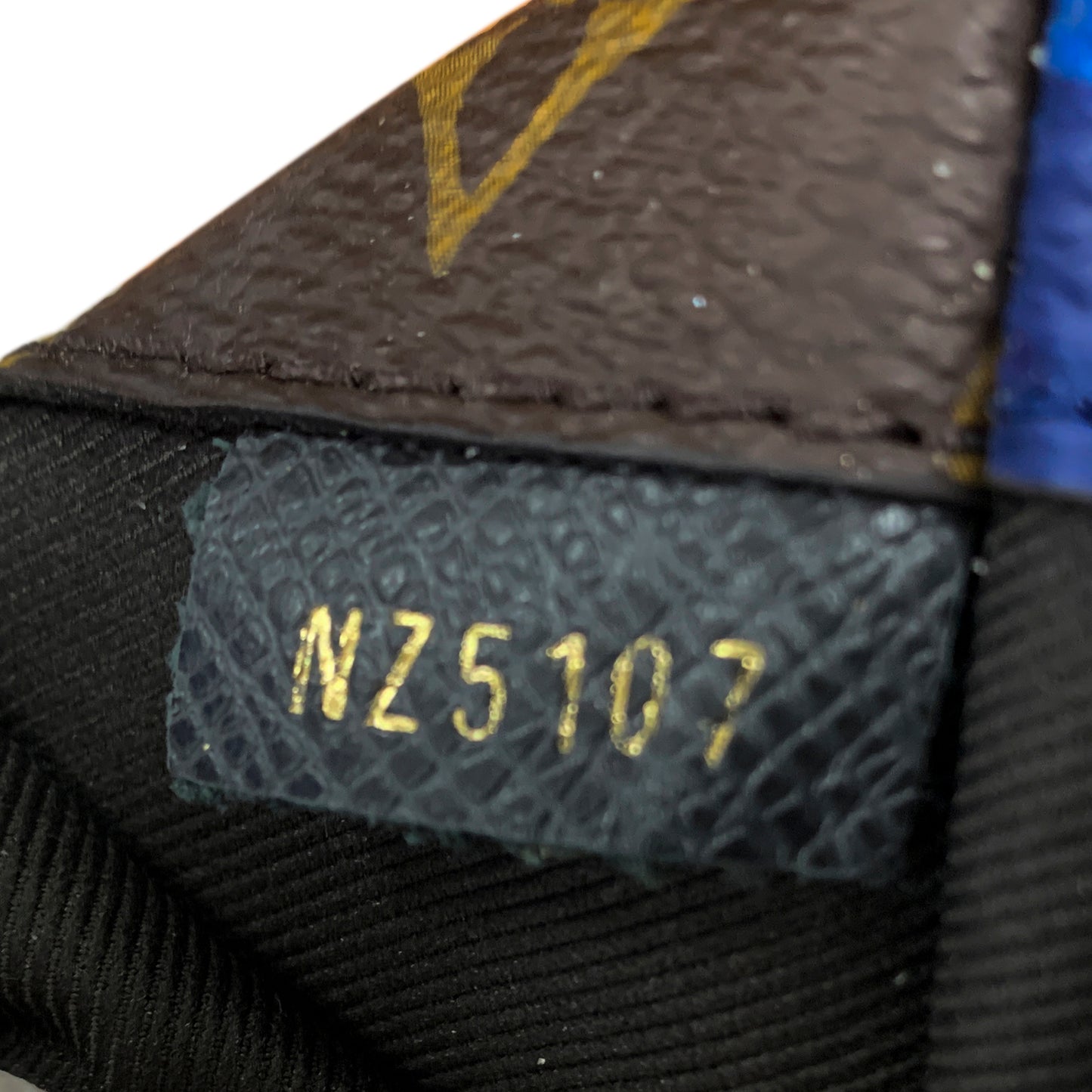Monogram Pacific Outdoor Pouch