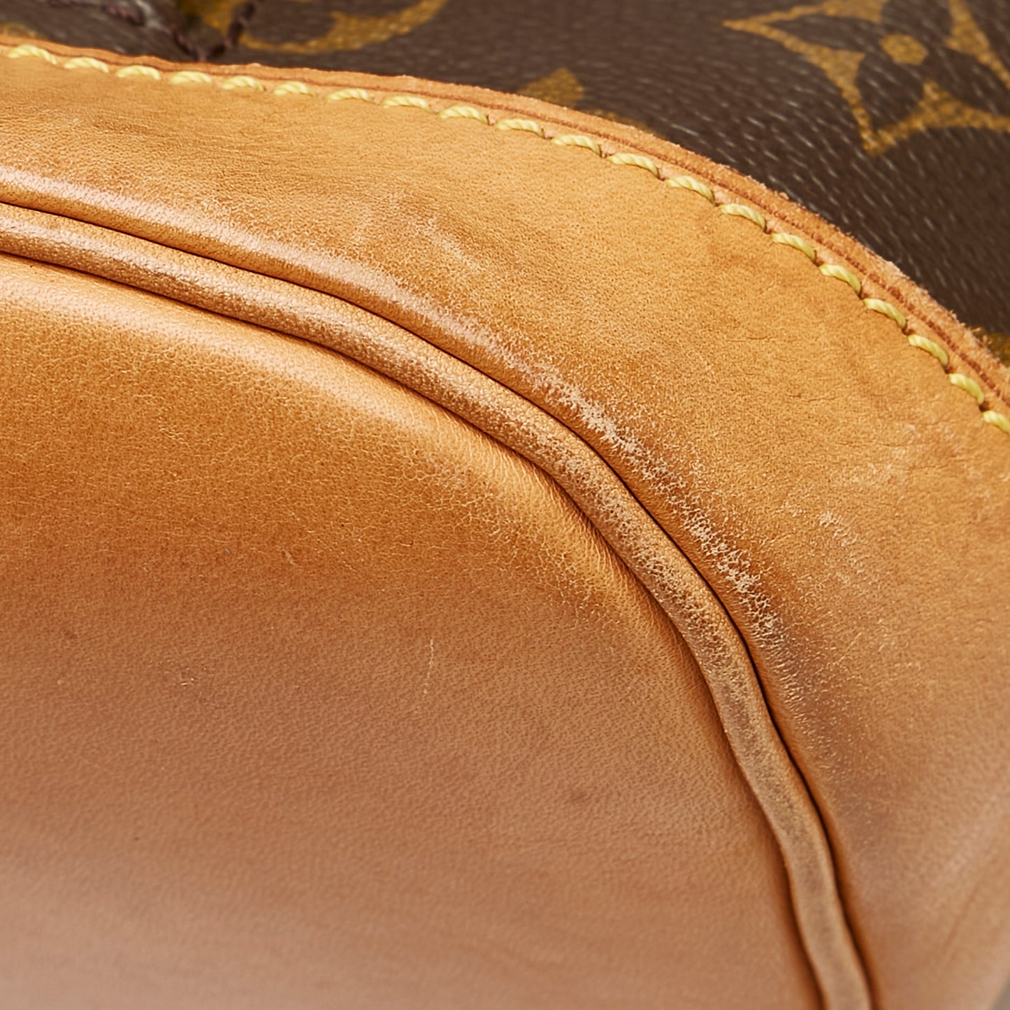 Monogram Montsouris PM
