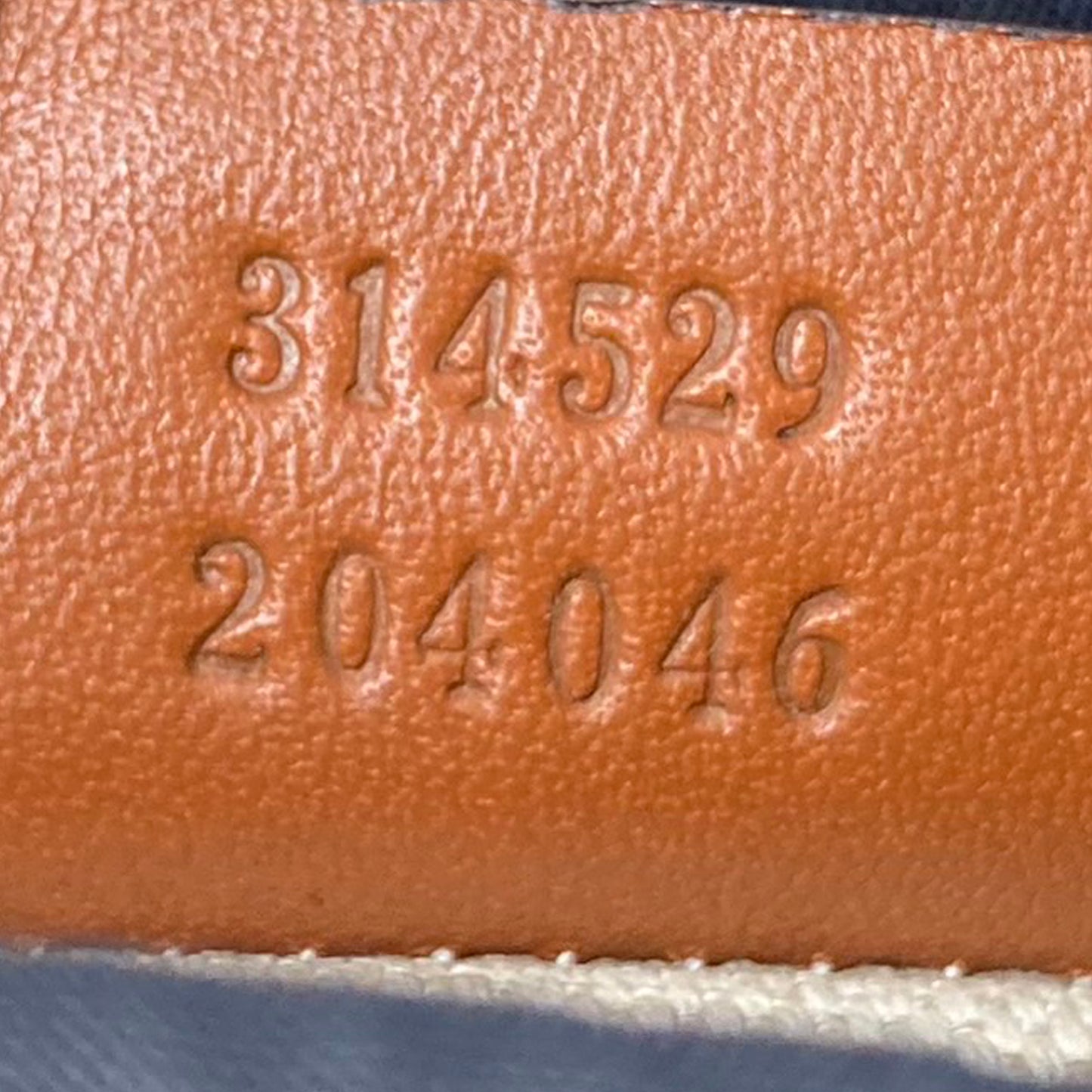 GG Crossbody