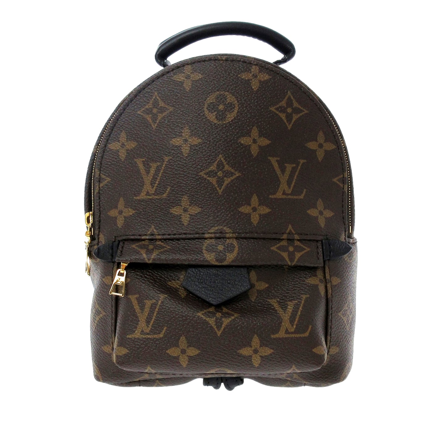 Monogram Palm Springs Mini