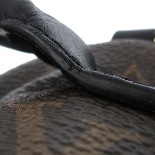 Monogram Palm Springs Mini