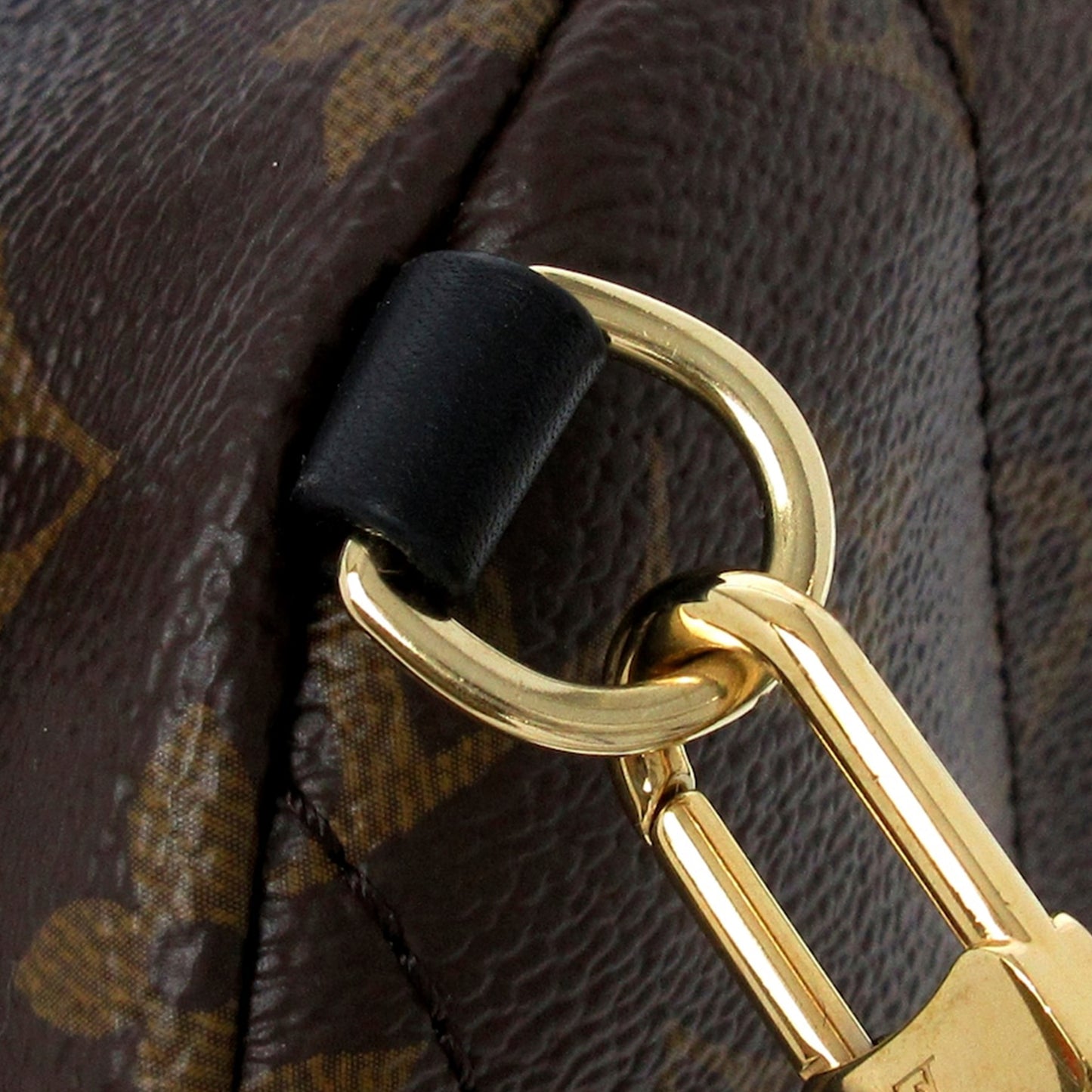 Monogram Palm Springs Mini