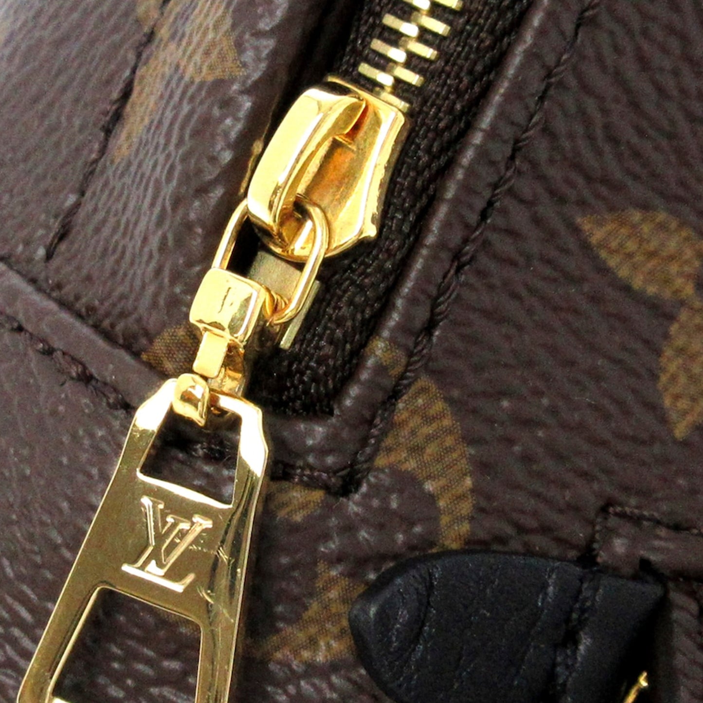 Monogram Palm Springs Mini