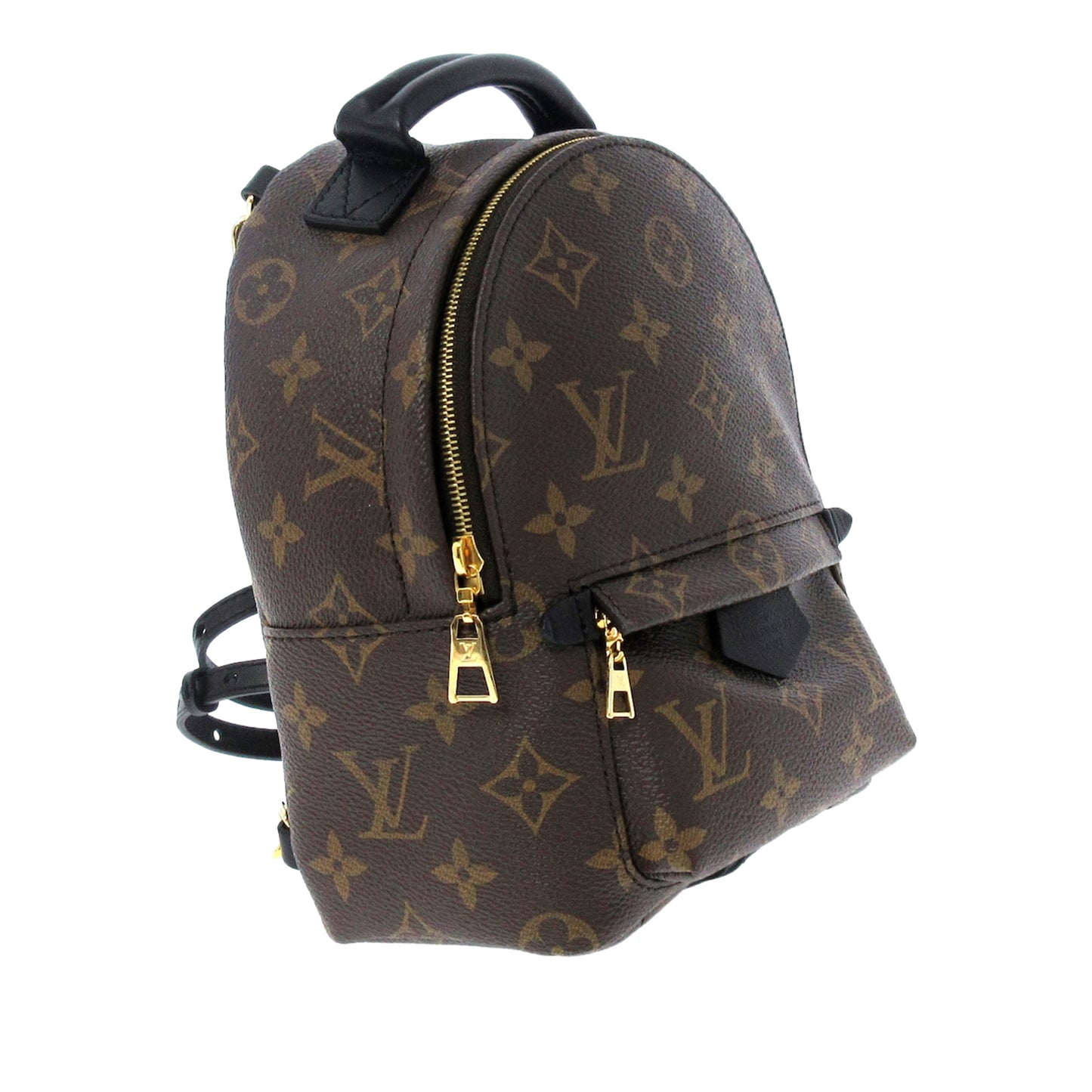 Monogram Palm Springs Mini