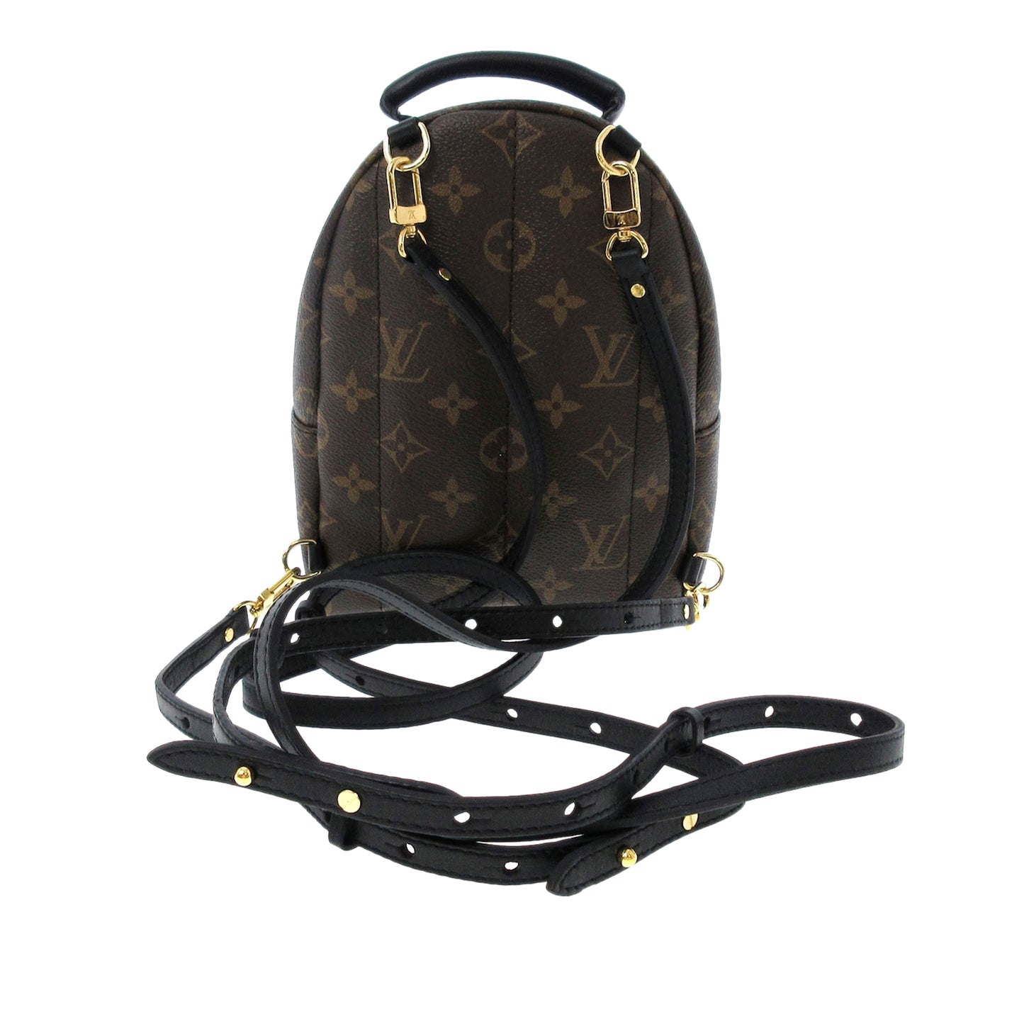 Monogram Palm Springs Mini