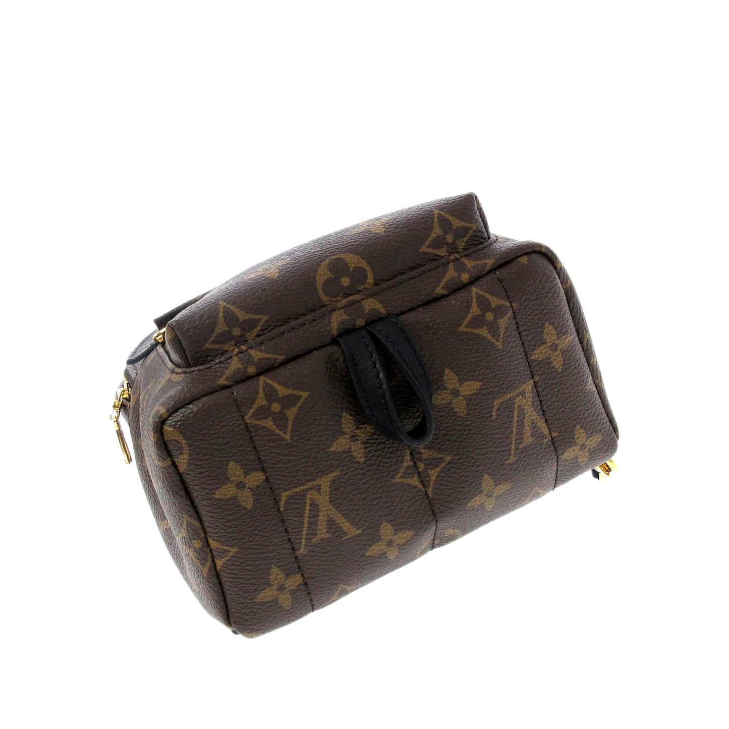 Monogram Palm Springs Mini