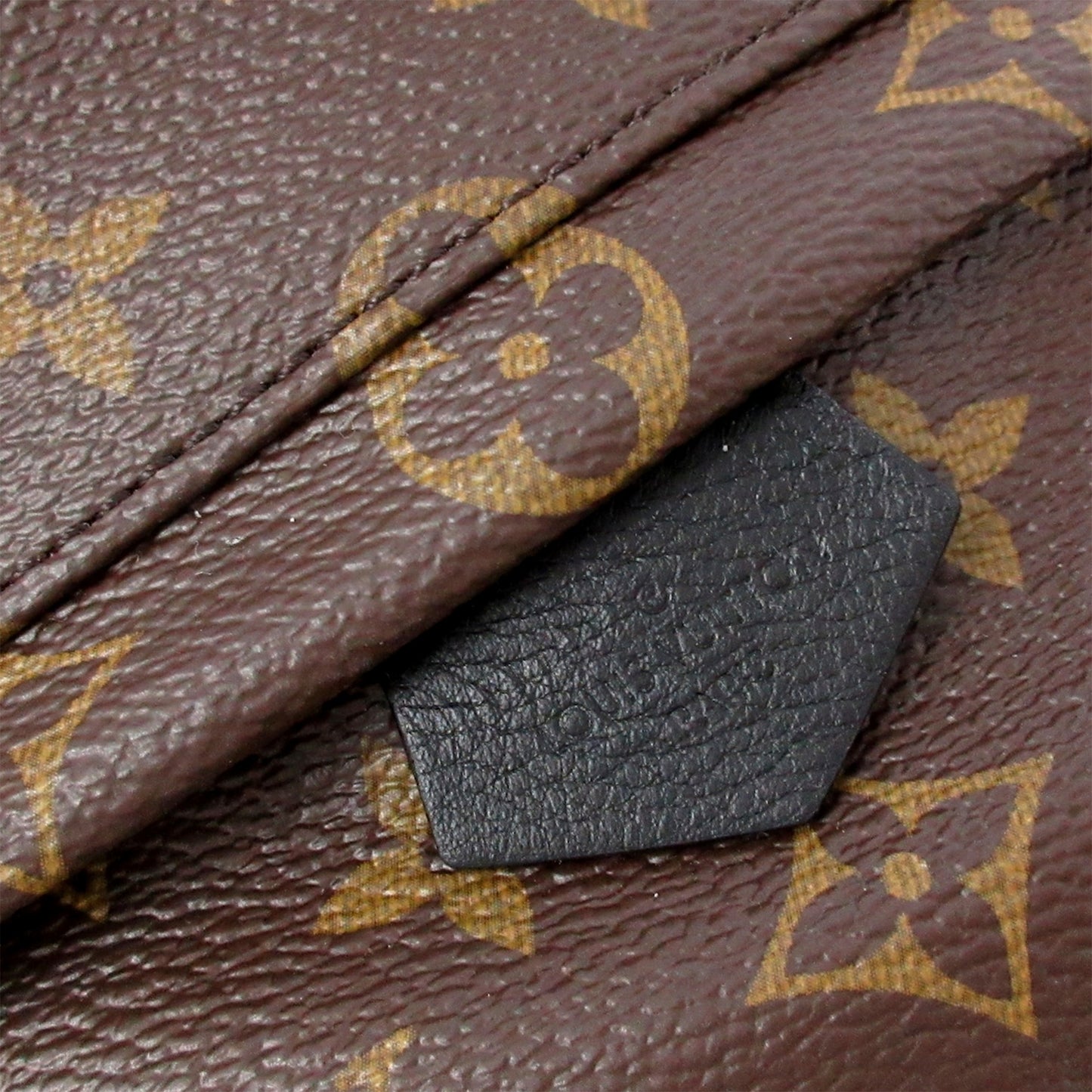 Monogram Palm Springs Mini