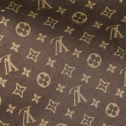 Monogram Mini Lin Speedy 30