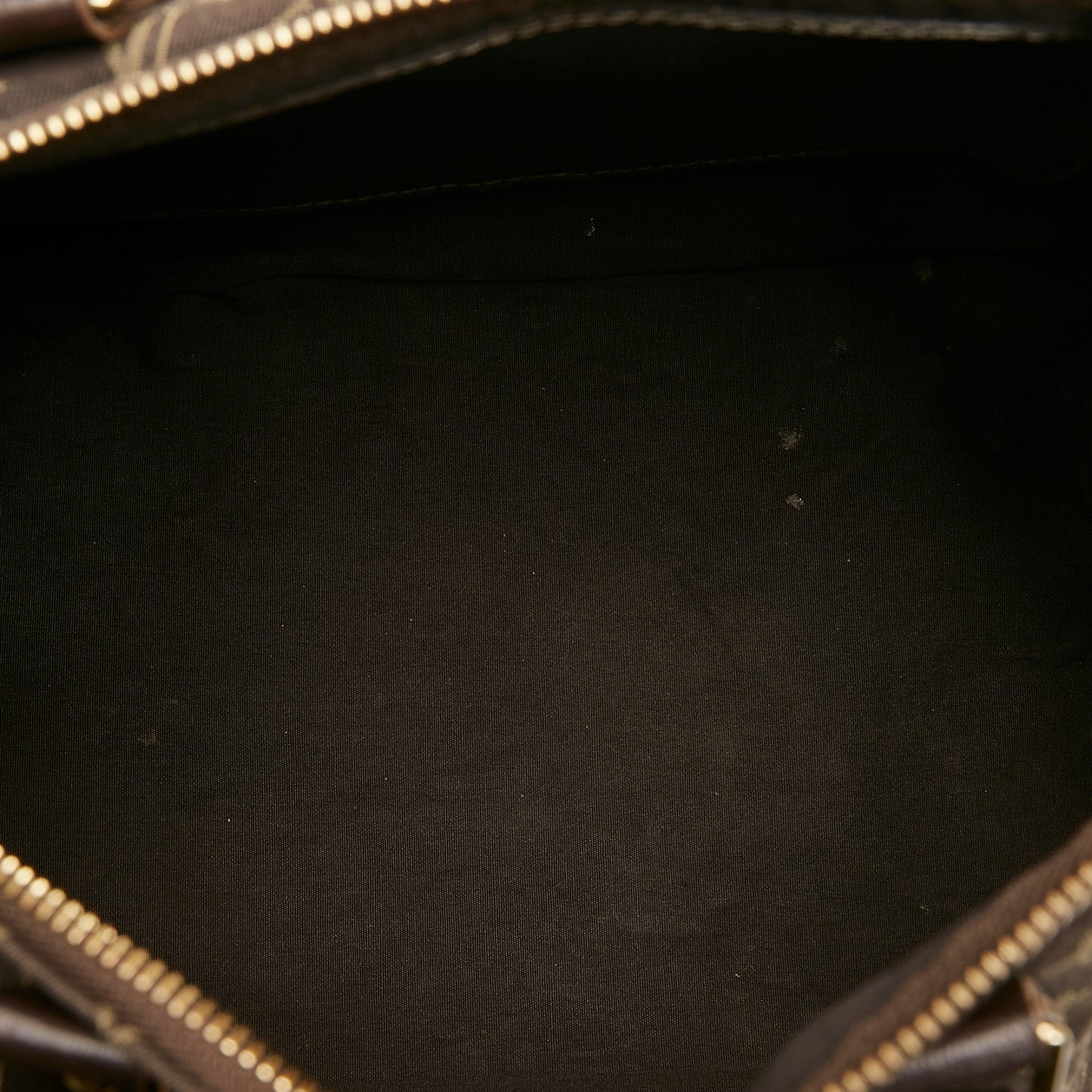 Monogram Mini Lin Speedy 30