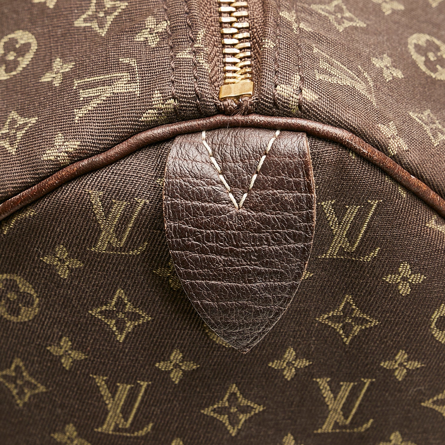 Monogram Mini Lin Speedy 30