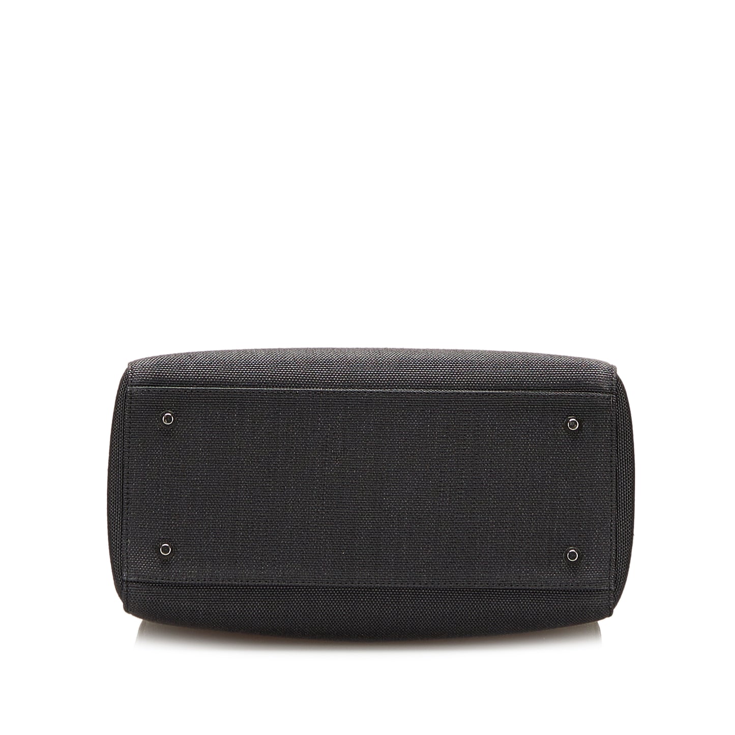Canvas Lady Dior
