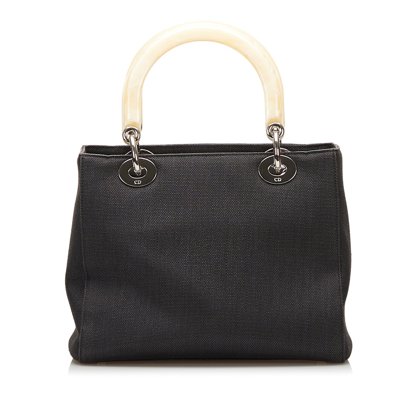 Canvas Lady Dior