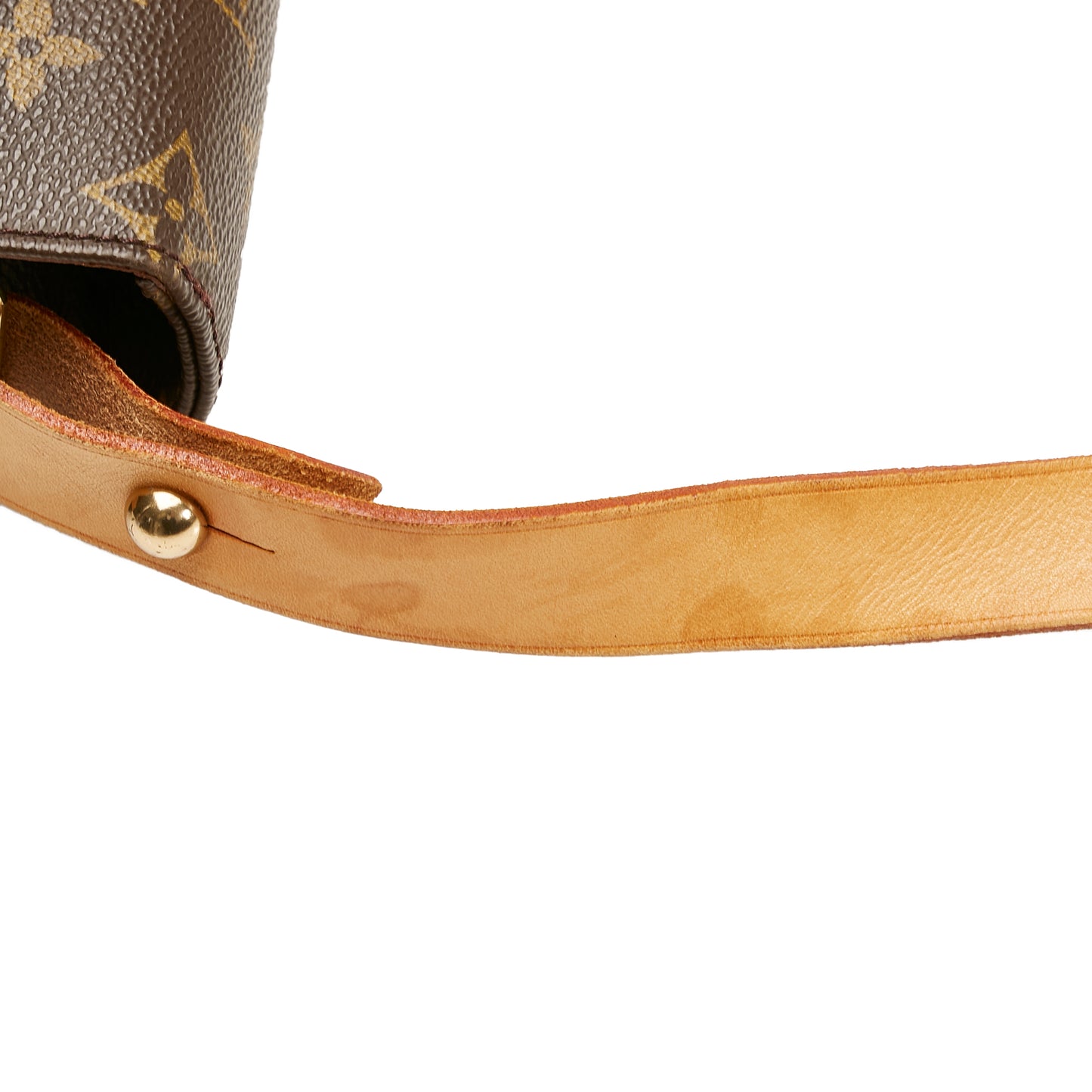 Monogram Cartouchiere MM